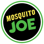 Mosquito Joe